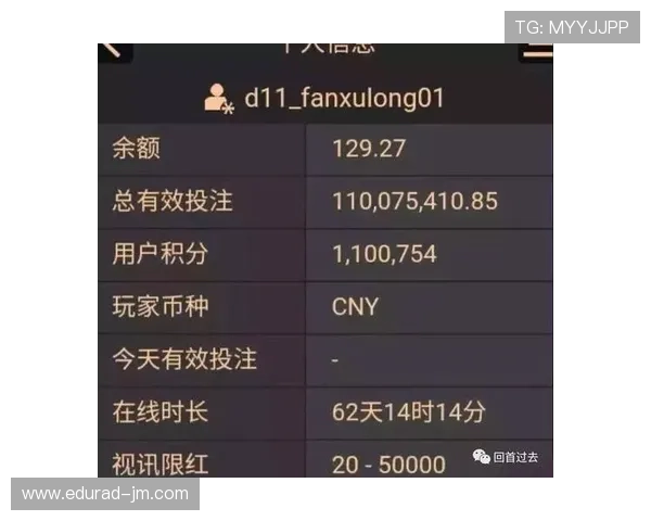 全面解析AG老虎百家乐游戏规则与策略提升你的赢钱几率